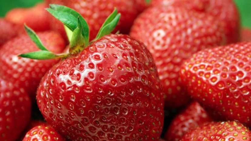 bea fresa lipoico 1.jpg